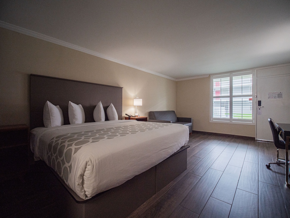 Equus Inn Ocala - photo 17