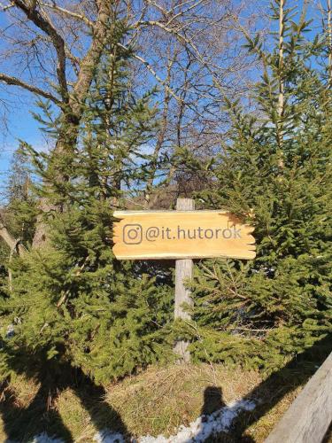IT Hutorok — Perechyn — photo 3