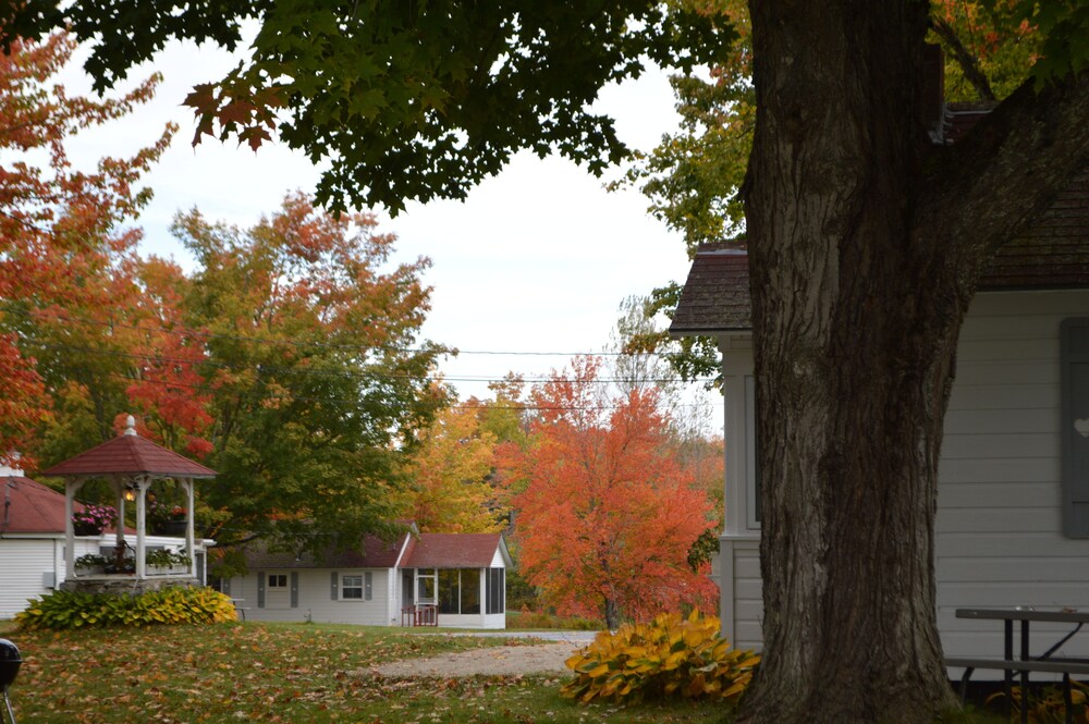 Eden Village Motel & Cottages - photo 9