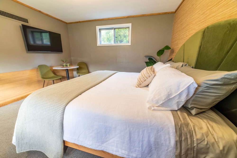 The Springs Motel - photo 26