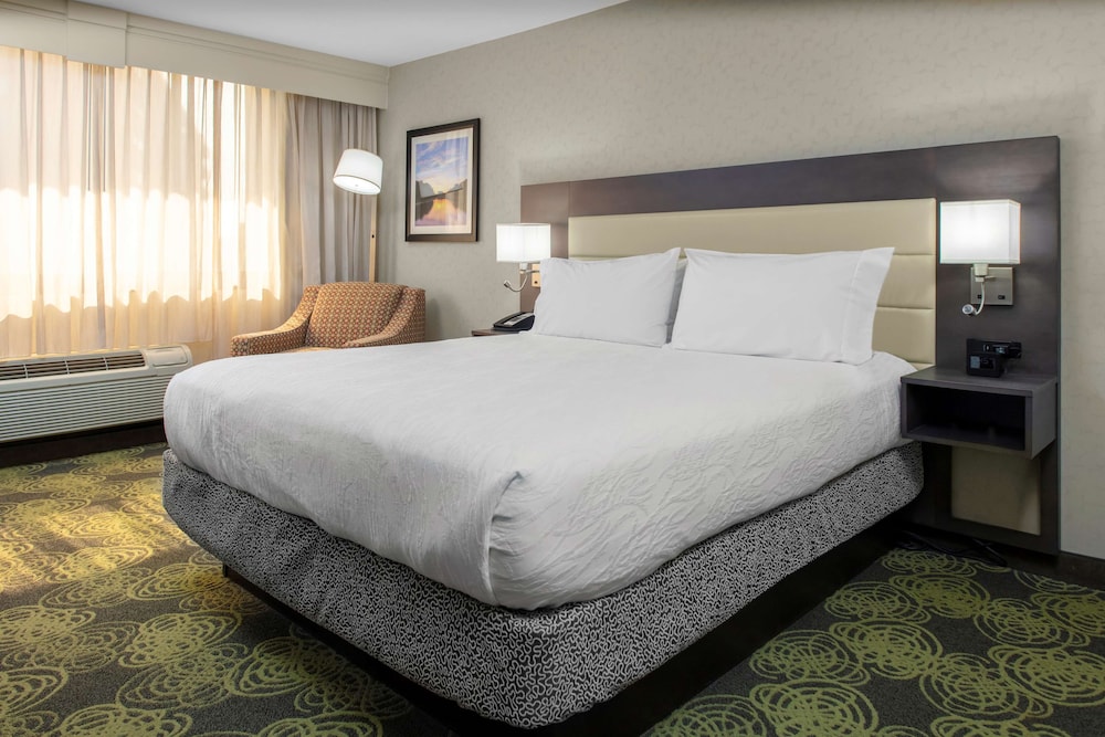Hilton Garden Inn Reagan National Airport - photo 22