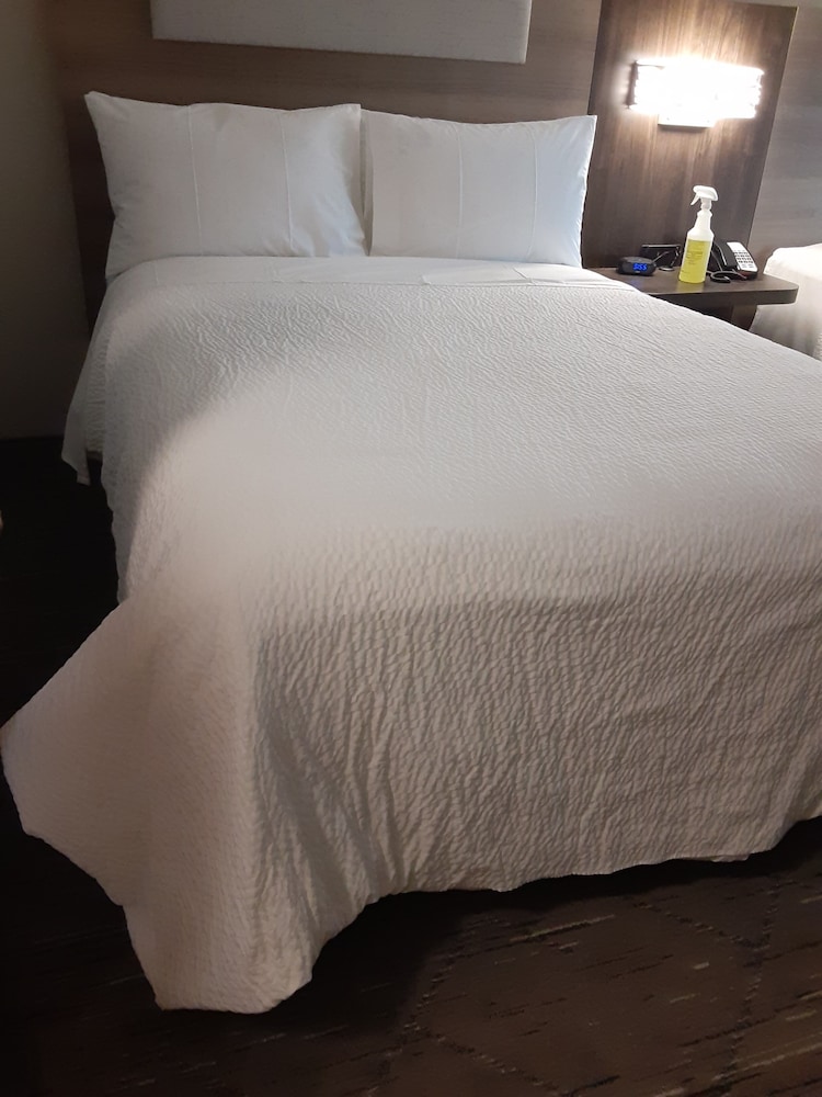 Holiday Inn Express Rensselaer by IHG - photo 9