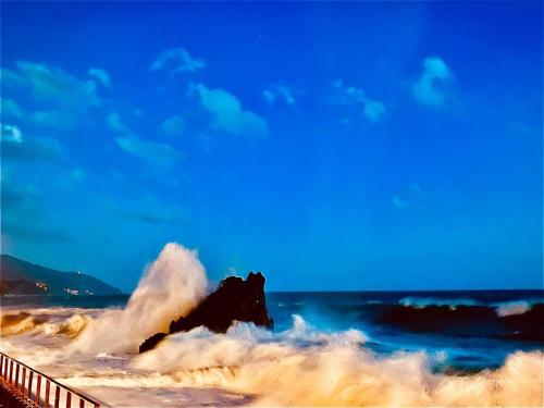 Acciuga — Monterosso Al Mare — photo 4