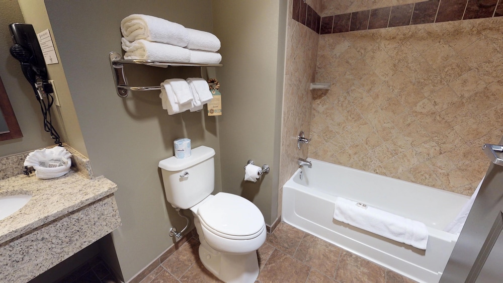 Camelback Resort - photo 13