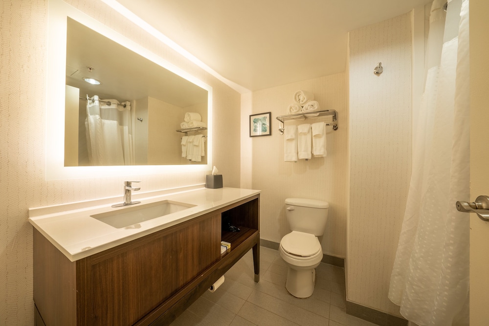 Holiday Inn Lansdale Hatfield by IHG - photo 24