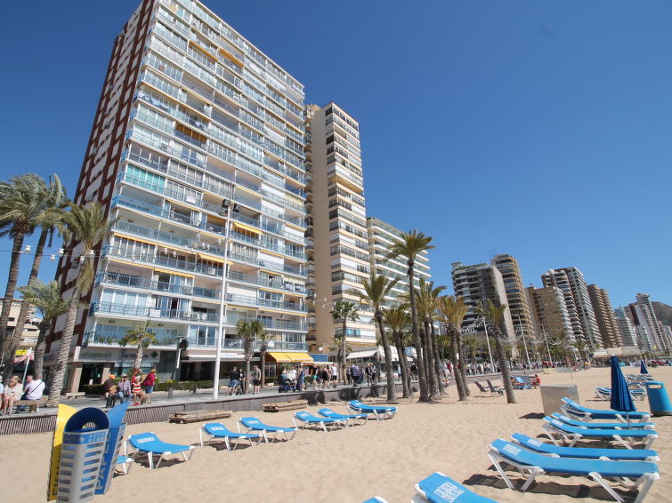 Las Palmeras — Benidorm — photo 4