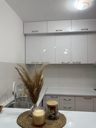 Peony - carbon neutral hotel in Budva