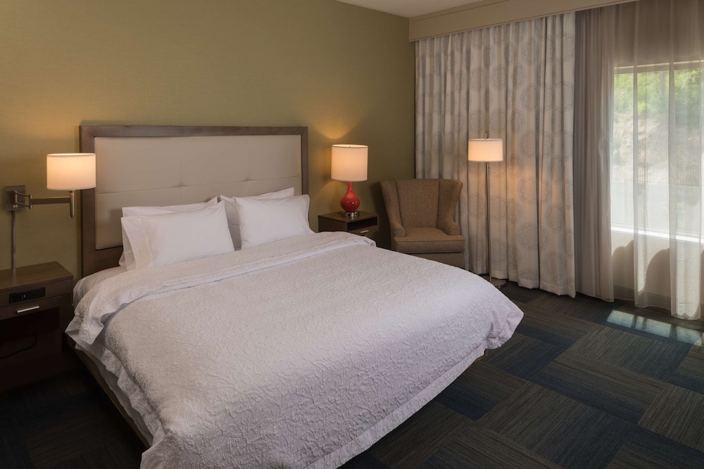 Hampton Inn & Suites Asheville Biltmore Village - photo 8