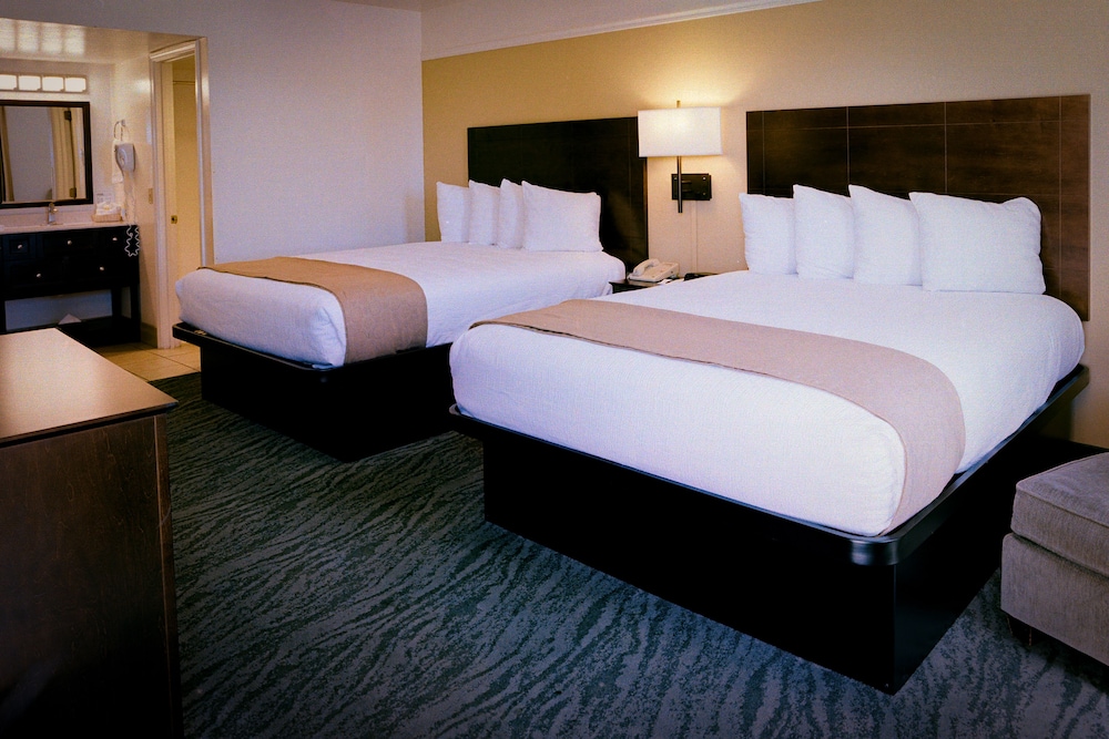 Pines Inn & Suites - photo 17