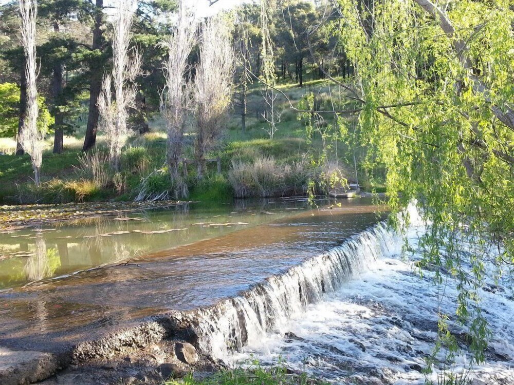 Avocados Accommodation - carbon neutral hotel in Kelmscott