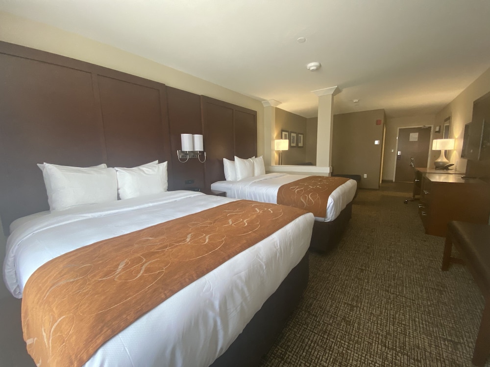 Comfort Suites Midland West - photo 10