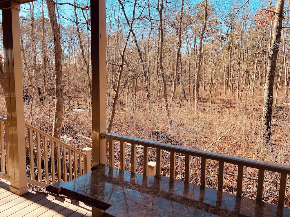 Swan Lake Resort Rentals - photo 147