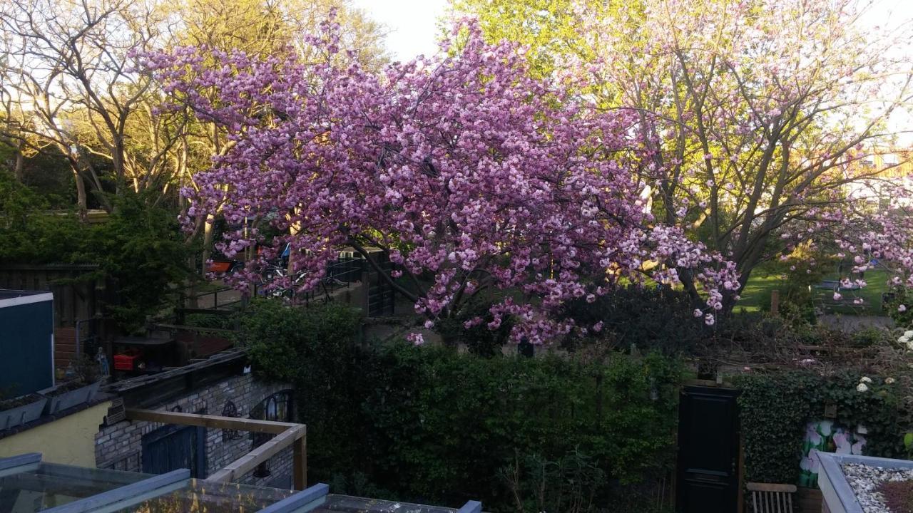 Bed En Broodje Bloem — Delft — photo 4