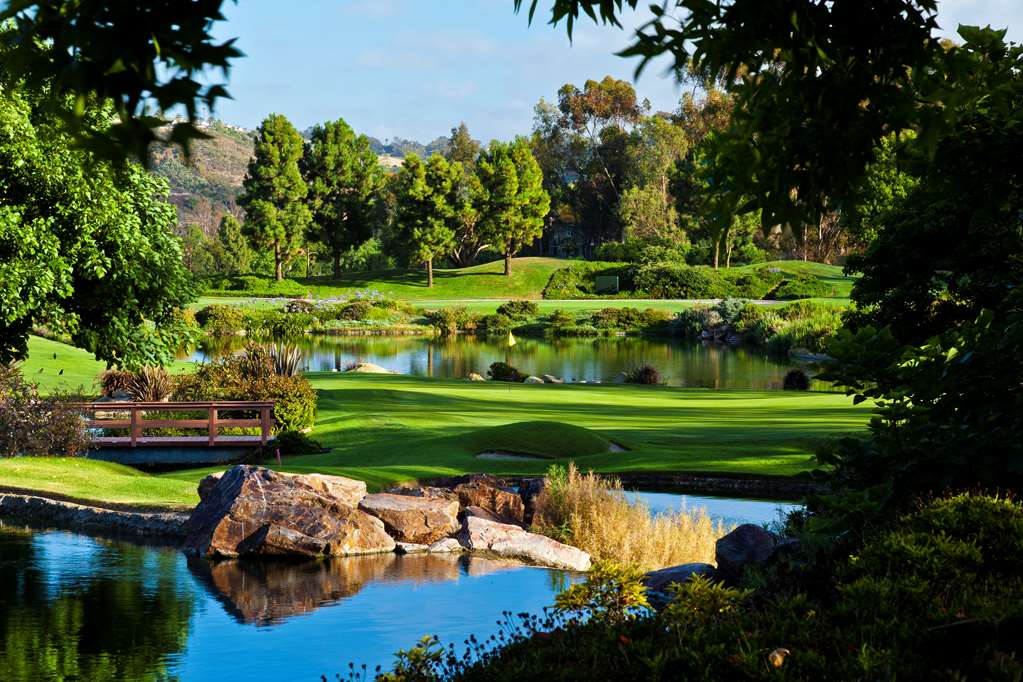 Park Hyatt Aviara Resort Golf Club & Spa - photo 63