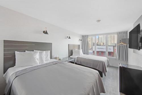 Tremont Hotel - photo 13