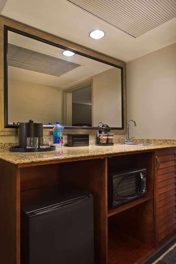 Embassy Suites by Hilton San Francisco Airport Waterfront - photo 20