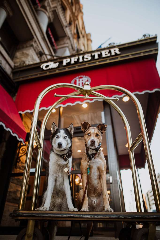 The Pfister Hotel - photo 33