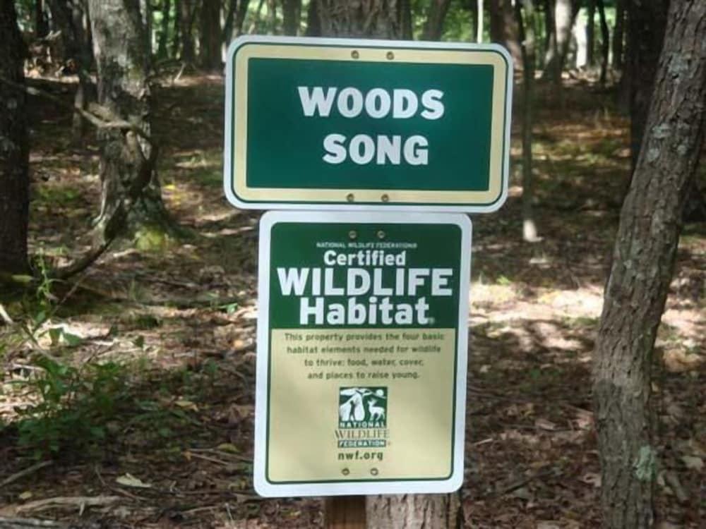 Woods Song Natures Promise — Washington D C