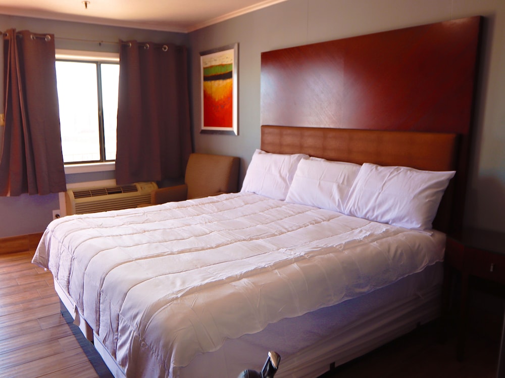 Studio Suites - photo 6