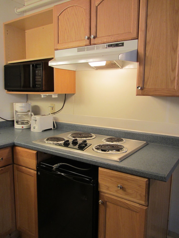 Green Dolphin Motel - photo 25