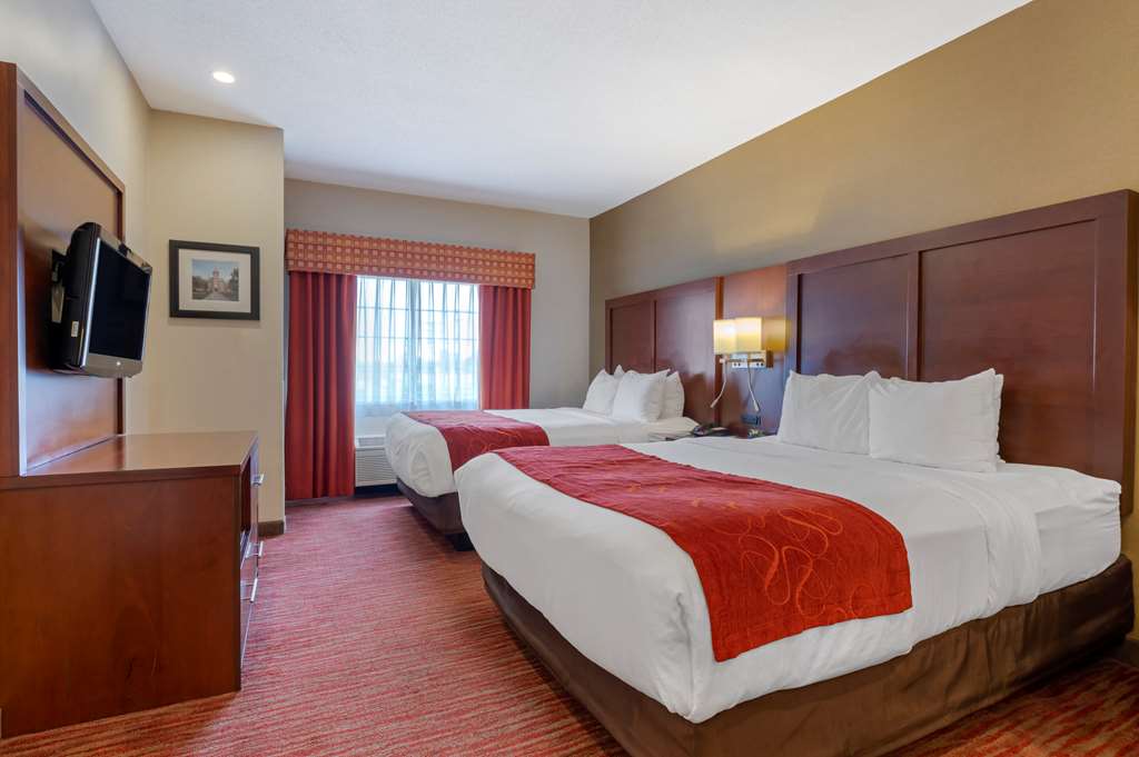 Comfort Suites Columbus Expo Center - photo 15