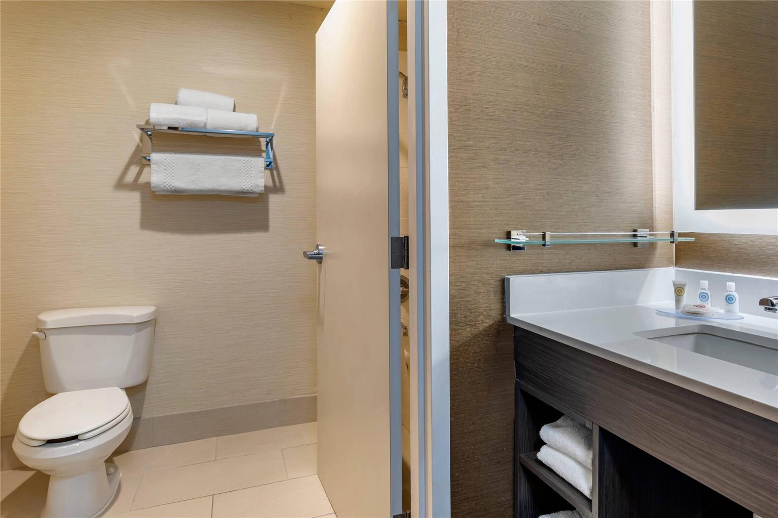 Comfort Inn & Suites North Dallas Addison - photo 27