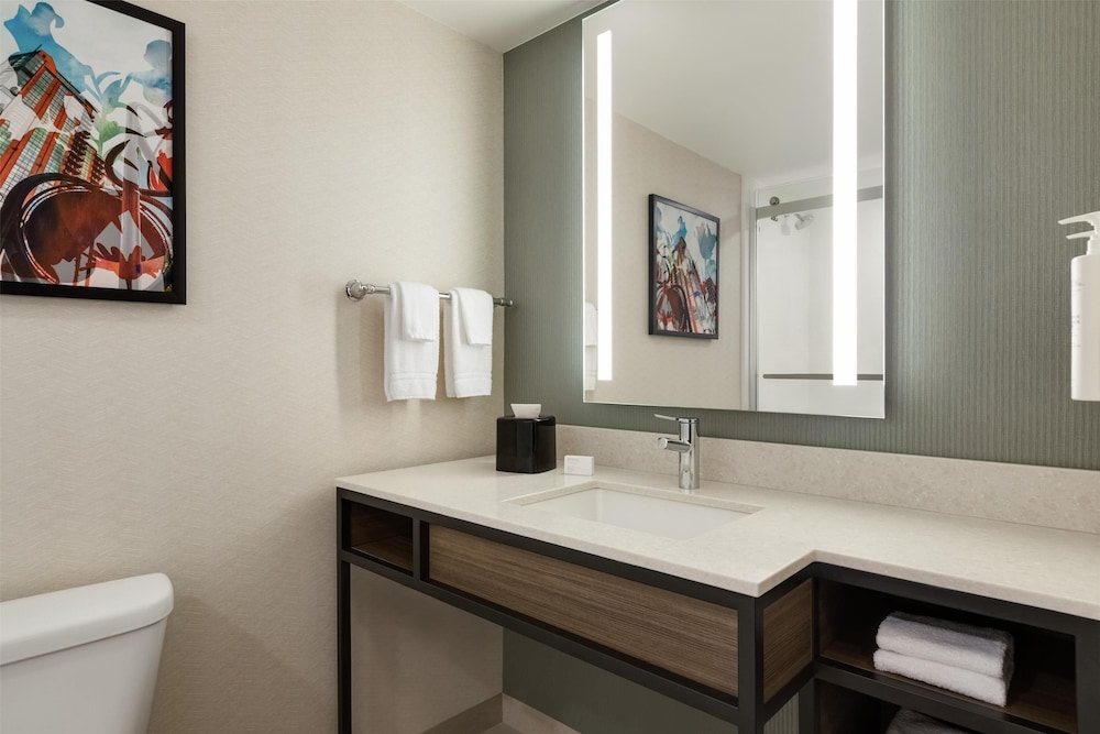 Hilton Garden Inn Atlanta Downtown - photo 39
