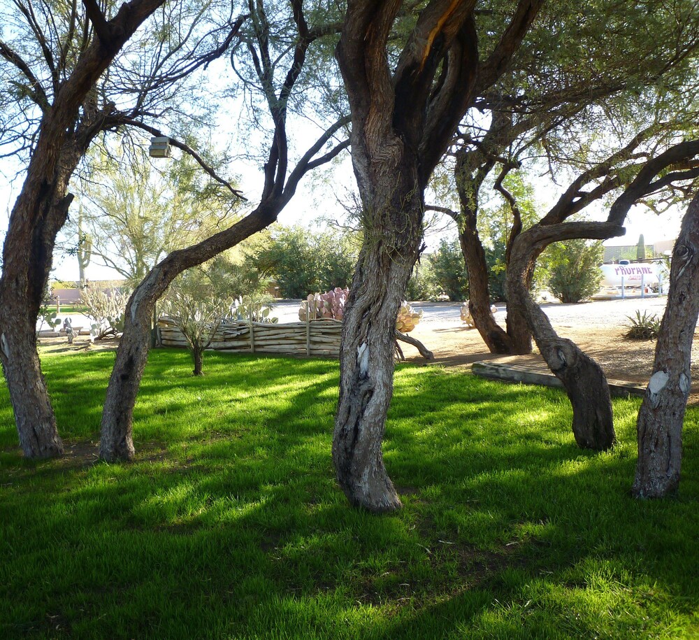 Rancho Sonora Inn - photo 66