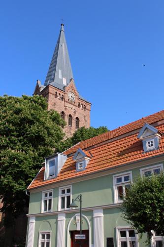 Turmfalke — Bad Suelze — photo 2