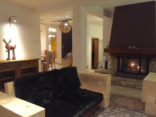 Willa Brzozówka in Milowka, Poland