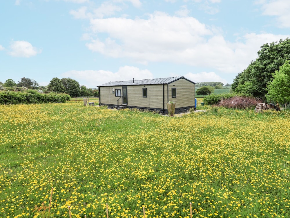 The Hoot in Stowmarket, United Kingdom