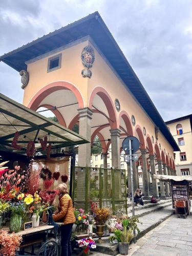 Affittacamere Medusa - carbon neutral hotel in Florence