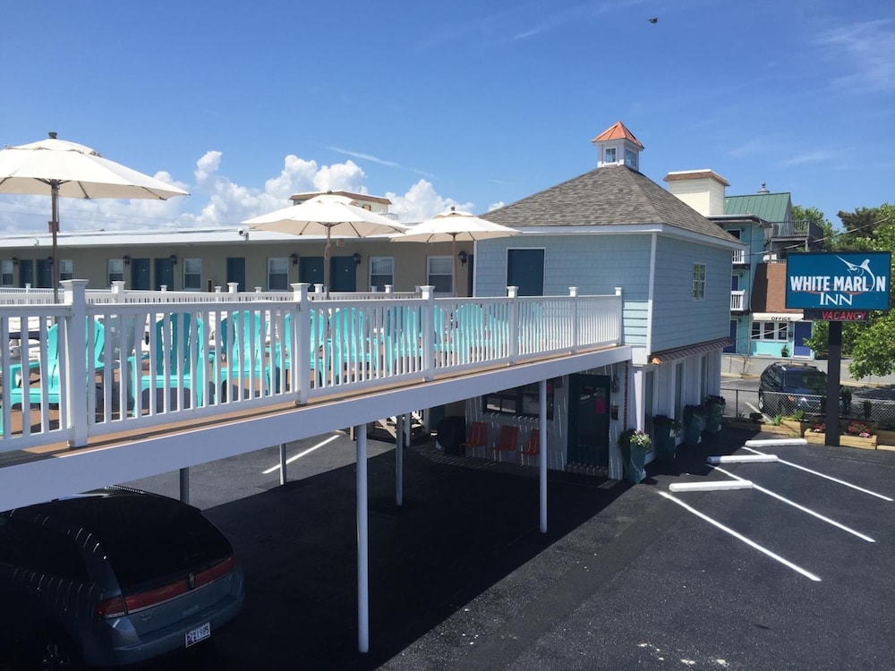 White Marlin Inn - photo 23
