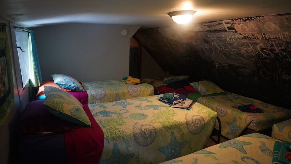 Nauti Otter Inn - photo 3