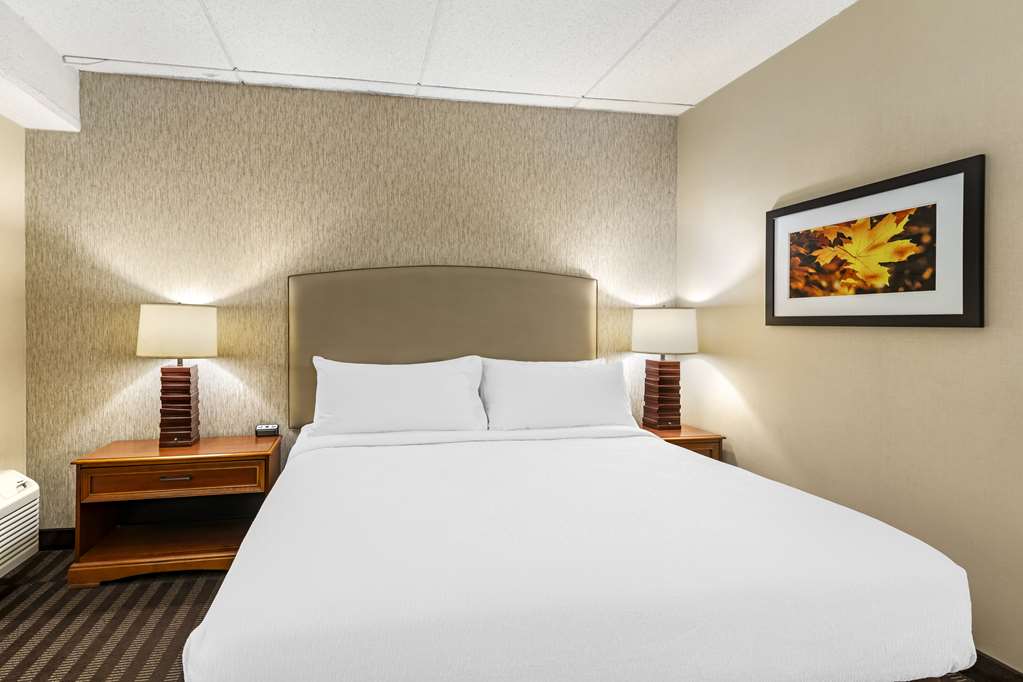 Best Western Springfield Hotel - photo 43