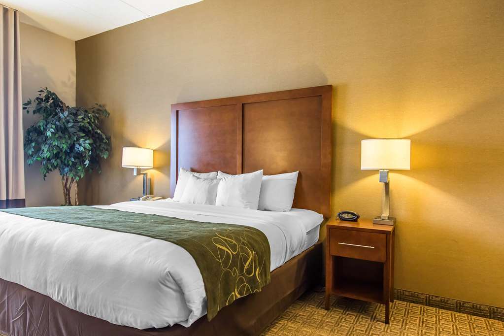 Comfort Suites Richmond - photo 21