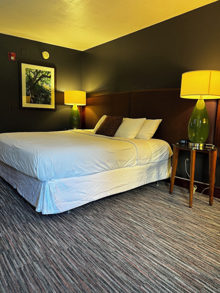 Baymont by Wyndham Cordele - photo 11