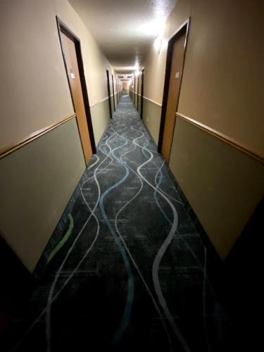 Woodlands Inn & Suites - photo 41