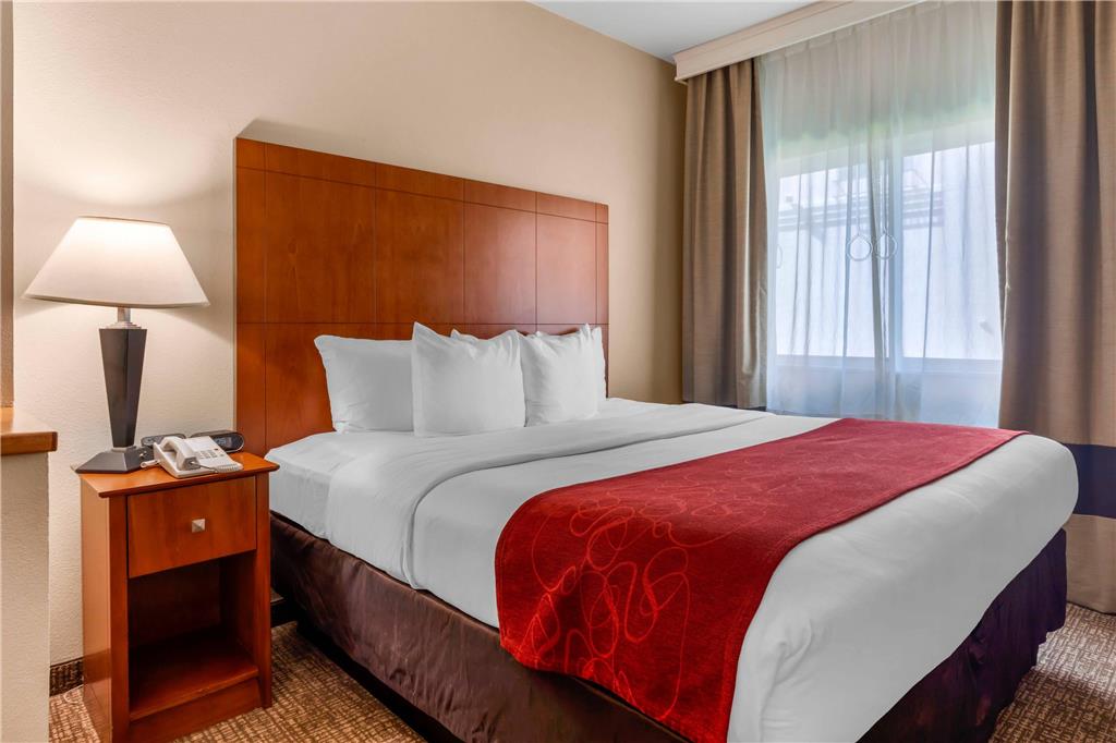 Comfort Suites North Dallas - photo 6