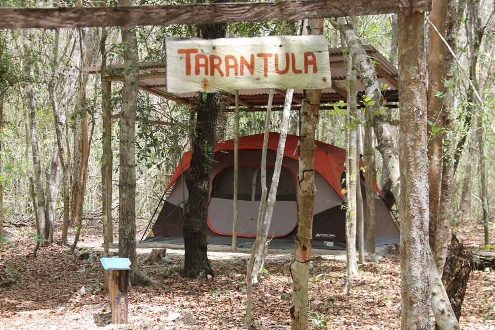 Campamento Yaaxche en Calakmul — hotel in Xpujil
