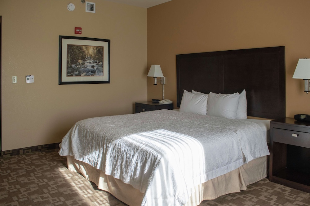 Hampton Inn & Suites Knoxville North I 75 - photo 20