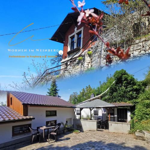 Große Reblaus Wohnen im Weinberg in der Toskana des Nordens — hotel in Freyburg