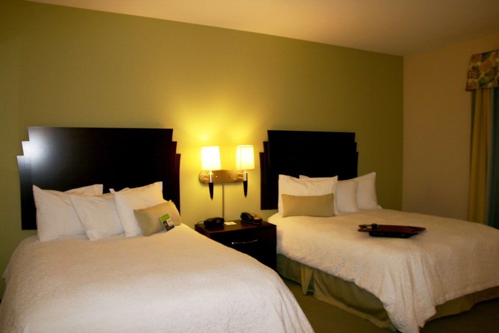 Hampton Inn Alpine - photo 5