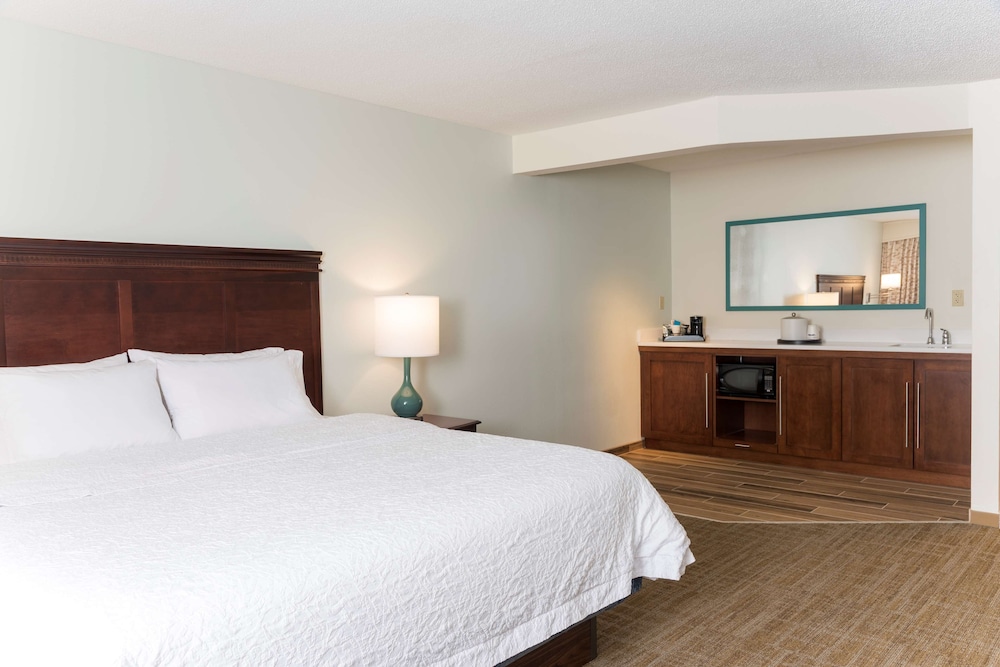 Hampton Inn East Lansing - photo 21