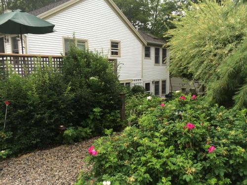 The Black Boar Inn - photo 5