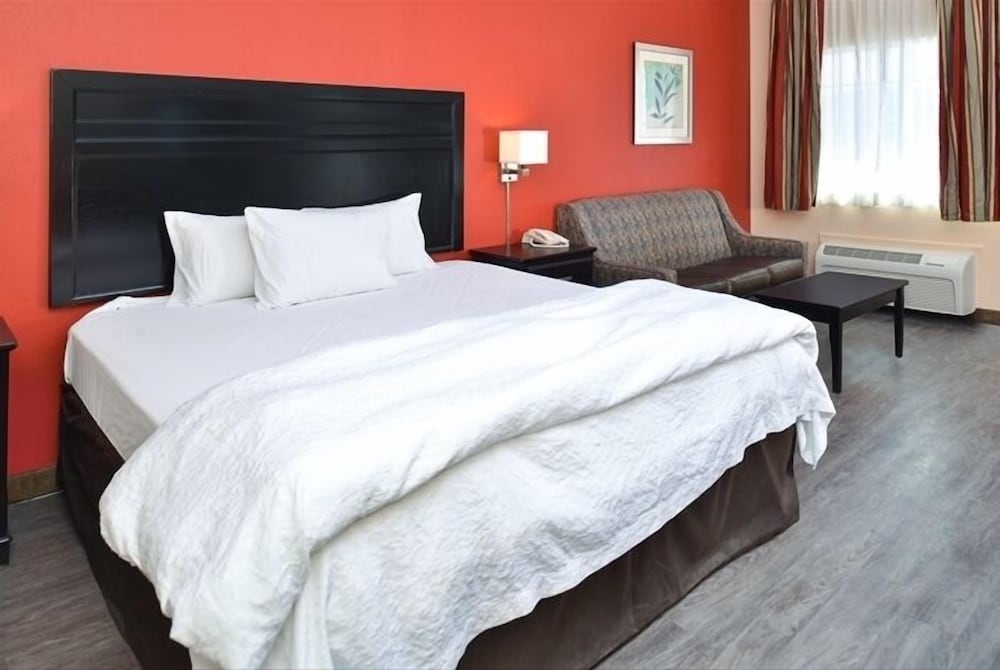 La Bonita Inn And Suites - photo 5