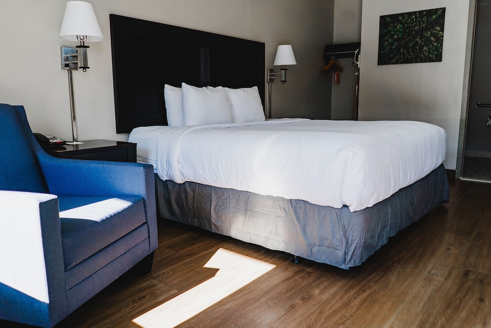 Quality Inn & Suites Monticello - photo 16