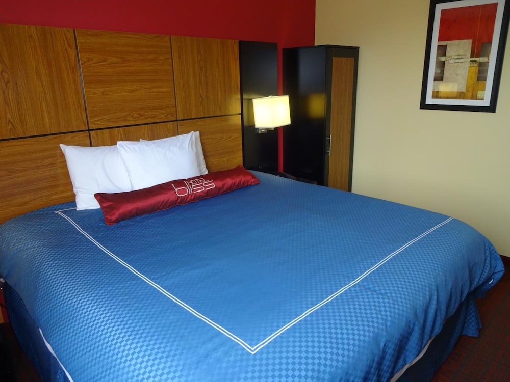 Hotel Bliss - photo 15