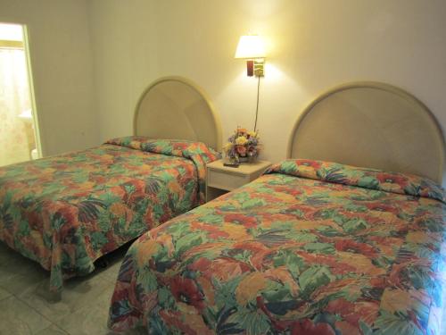 Apollo Resort Motel - photo 31
