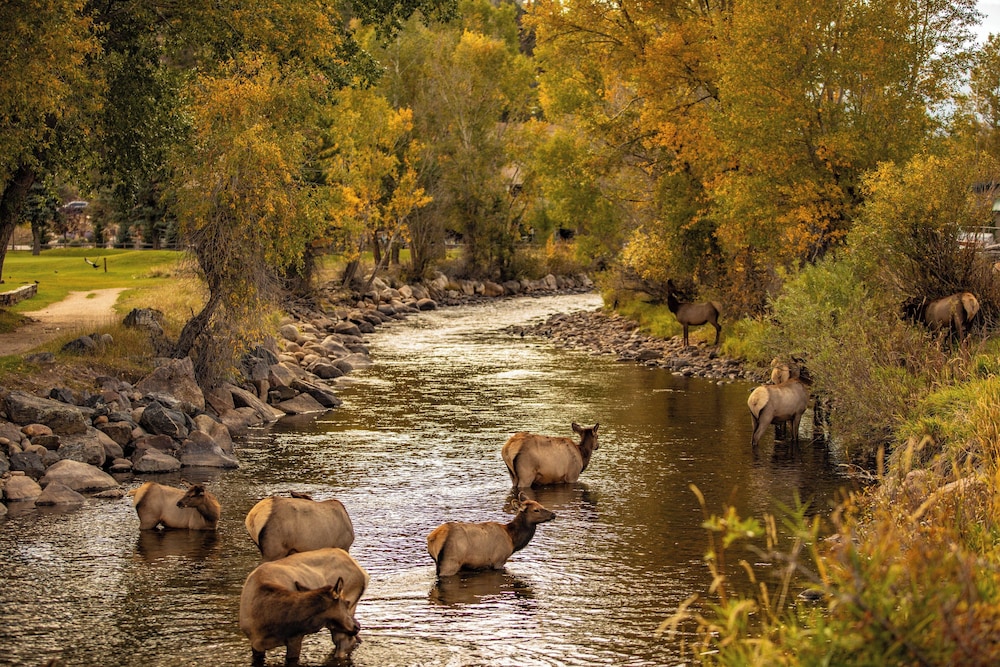Holiday Inn Estes Park by IHG - photo 62